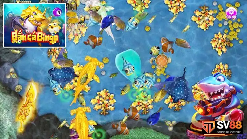 Chia sẻ thủ thuật Bắn cá Bingo khóa mục tiêu cực đỉnh